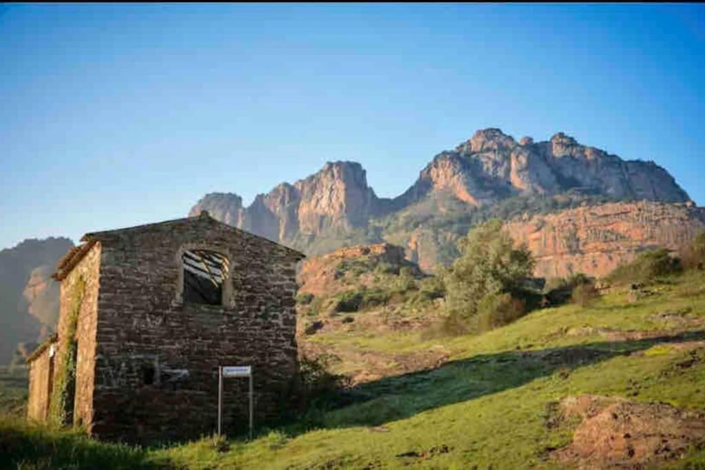 Villa Alisa Avec Piscine Privee Roquebrune-sur Argens Dış mekan fotoğraf