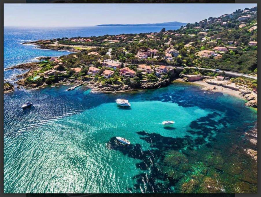 Villa Alisa Avec Piscine Privee Roquebrune-sur Argens Dış mekan fotoğraf